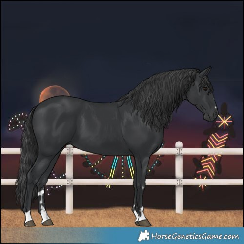 Horse Color:Black 