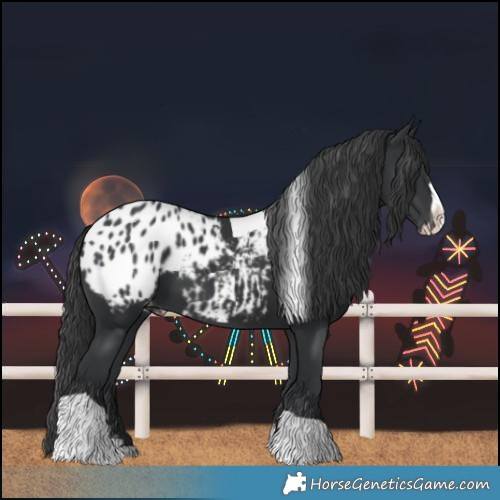Horse Color:Black Splash Tobiano Blanket 
