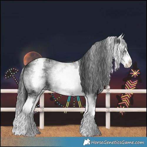 Horse Color:White Spotted Black Splash Varnish 