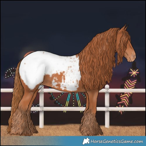 Horse Color:Chestnut Snowcap