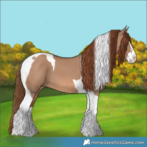 Horse Color:Red Dun Splash Tobiano