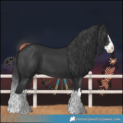 Horse Color:Black Splash