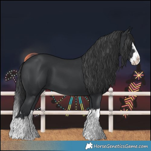 Horse Color:Black Splash 