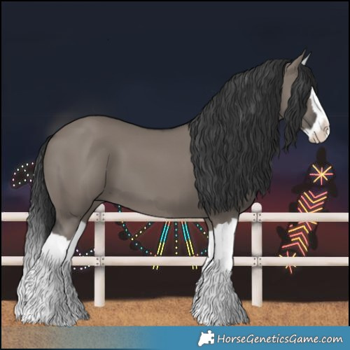 Horse Color:Grullo Splash