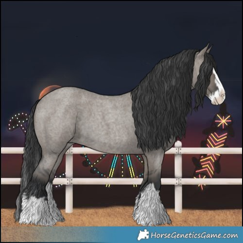 Horse Color:Grullo Roan Splash 