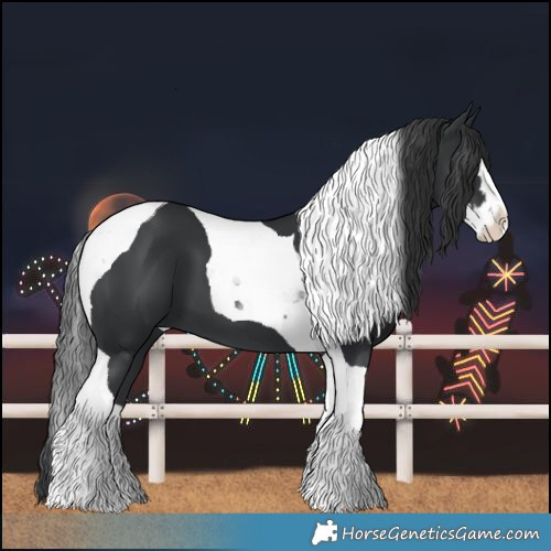 Horse Color:Black Splash Tobiano 