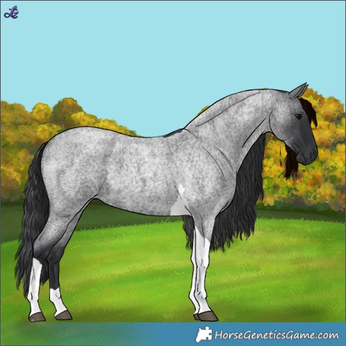 Horse Color:Blue Roan Tobiano 