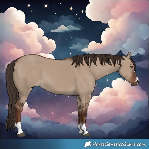 Horse Color:Liver Red Dun