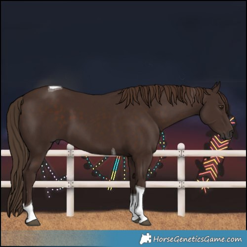 Horse Color:Liver Chestnut Tobiano 