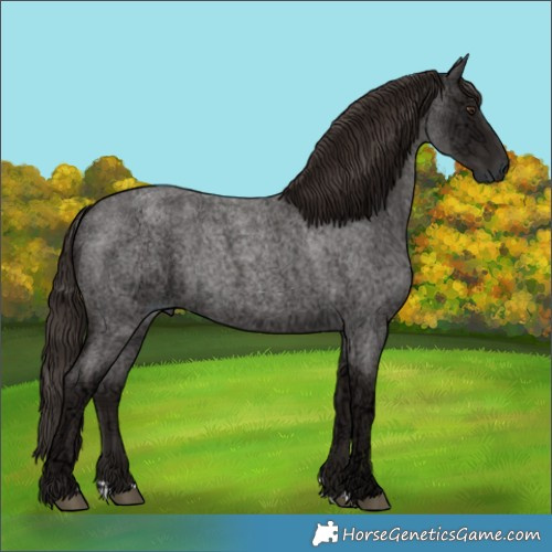 Horse Color:Liver Red Ice Roan Rabicano