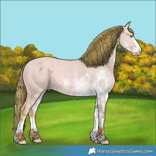 Horse Color:Watercolor White Spotted Gold Champagne Dun 