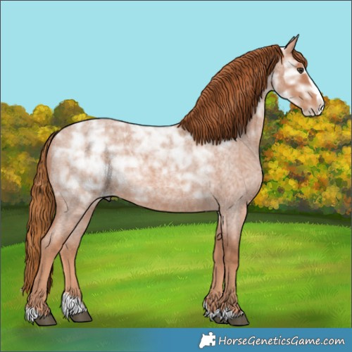 Horse Color:Red Ice Roan Splash Rabicano 