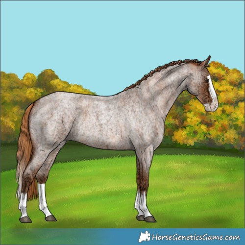 Horse Color:Red Ice Roan Splash Rabicano 