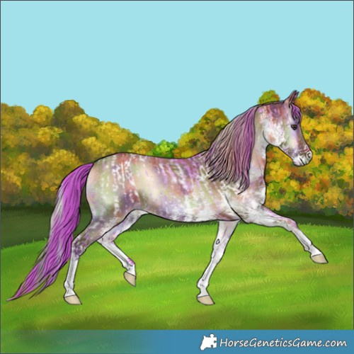 Horse Color:Watercolor White Spotted Red Dun Blanket  and Nacre White Spotted Red Onyx 