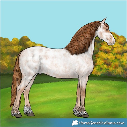 Horse Color:Red Ice Roan Splash Rabicano 