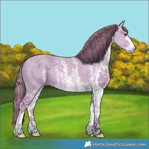 Horse Color:Watercolor White Spotted Red Dun 
