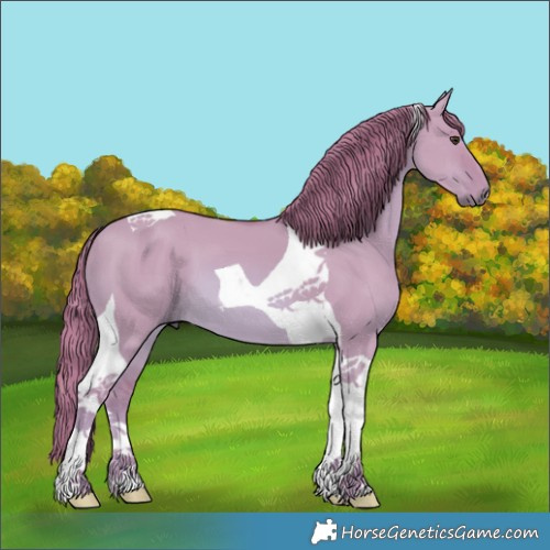 Horse Color:Watercolor Red Dun Tobiano