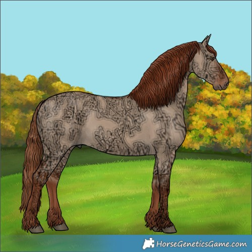 Horse Color:Red Dun Ice Rabicano