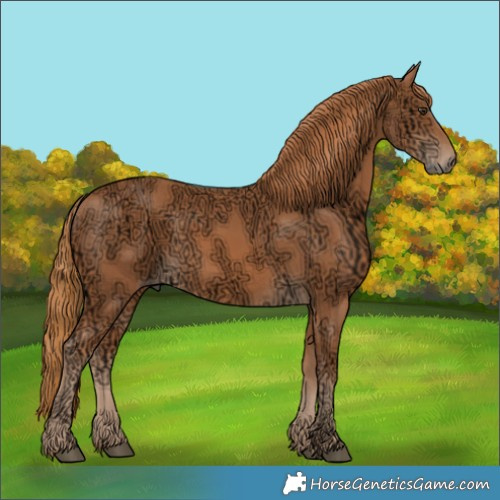 Horse Color:Chestnut Ice Rabicano 