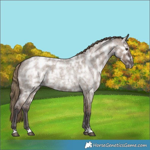 Horse Color:Liver Red Dun Ice Roan Rabicano 