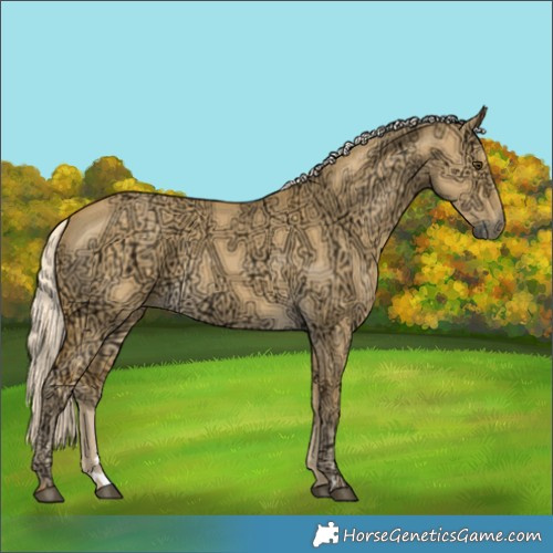 Horse Color:Palomino Ice Dun Rabicano