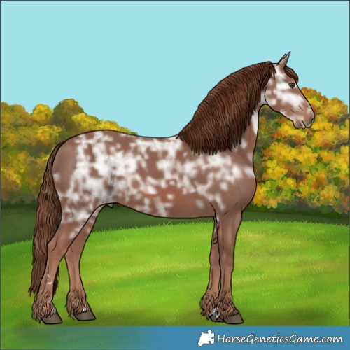 Horse Color:Chestnut Ice Rabicano