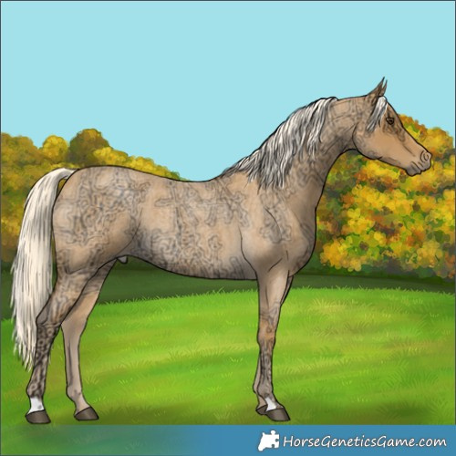 Horse Color:Palomino Ice Roan Rabicano