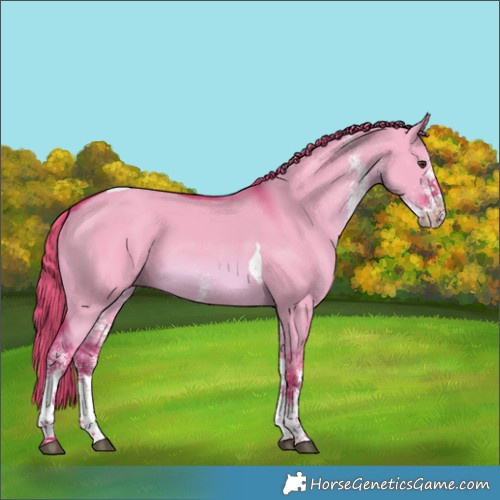 Horse Color:Watercolor White Spotted Red Dun Tobiano 