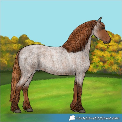 Horse Color:Red Ice Roan Rabicano