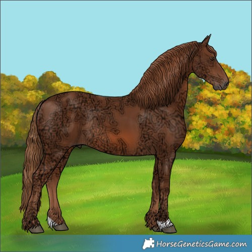 Horse Color:Chestnut Ice Rabicano 