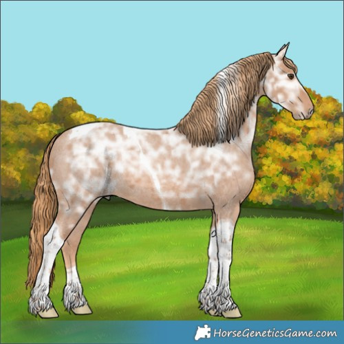 Horse Color:Red Ice Roan Tobiano Rabicano 