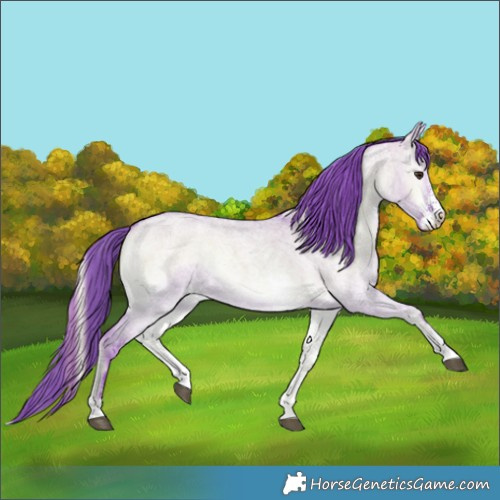 Horse Color:Watercolor White Spotted Red Dun Roan Onyx Rabicano 