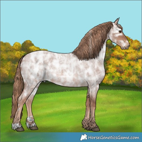 Horse Color:White Spotted Red Ice Roan Rabicano