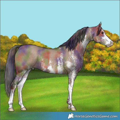 Horse Color:Nacre White Spotted Liver Red Dun 