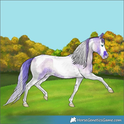 Horse Color:Watercolor Red Onyx Roan Splash Tobiano