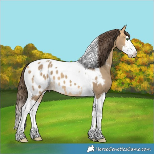 Horse Color:Sable Cream Champagne Splash Tobiano Near Leopard 