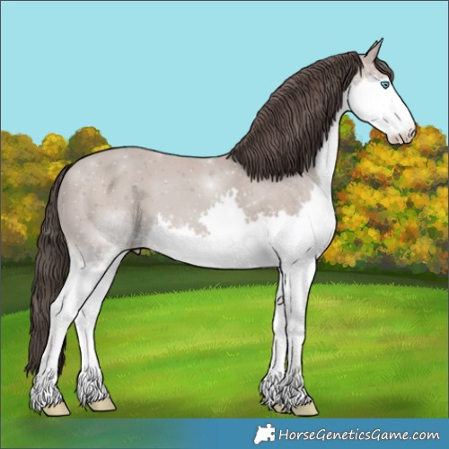 Horse Color:Classic Champagne Splash 