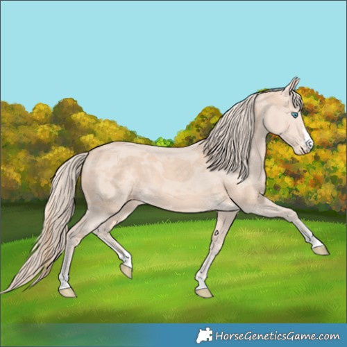 Horse Color:Perlino Merle 