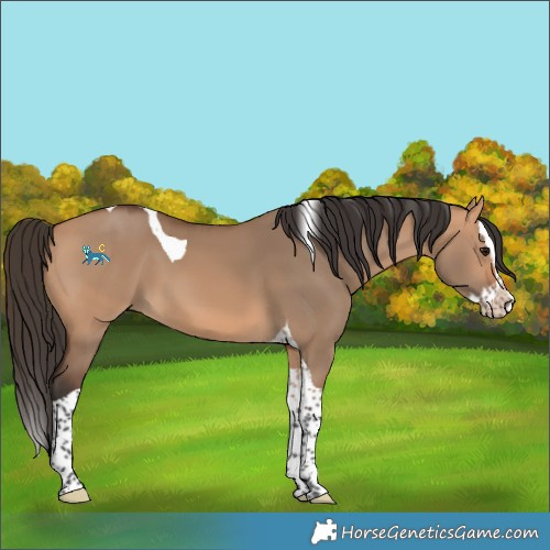 Horse Color:Unknown 