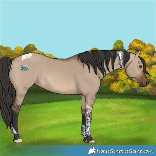 Horse Color:Unknown 