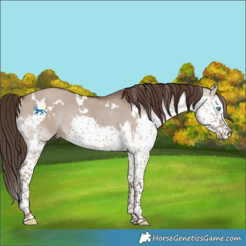 Horse Color:White Spotted Liver Red Dun Splash