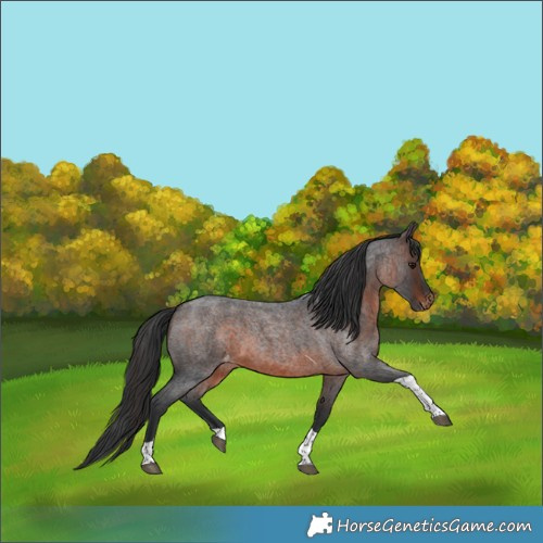 Horse Color:Brown Roan Tobiano Varnish 