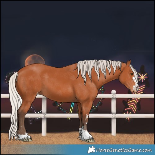 Horse Color:Silver Bay Varnish 
