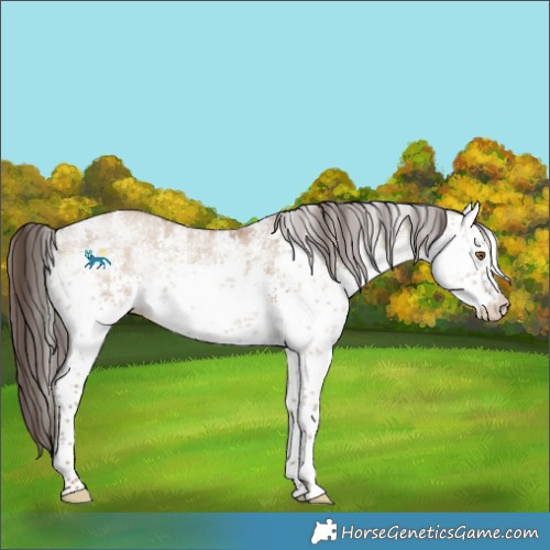 Horse Color:White Spotted Classic Champagne Dun Sabino