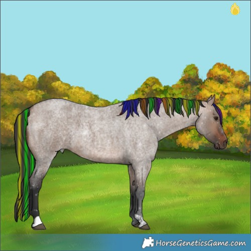 Horse Color:Painted Brown Roan Dun