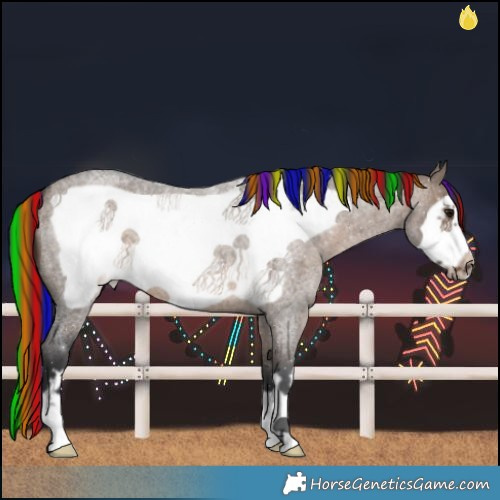 Horse Color:Painted Brown Roan Dun Frame 