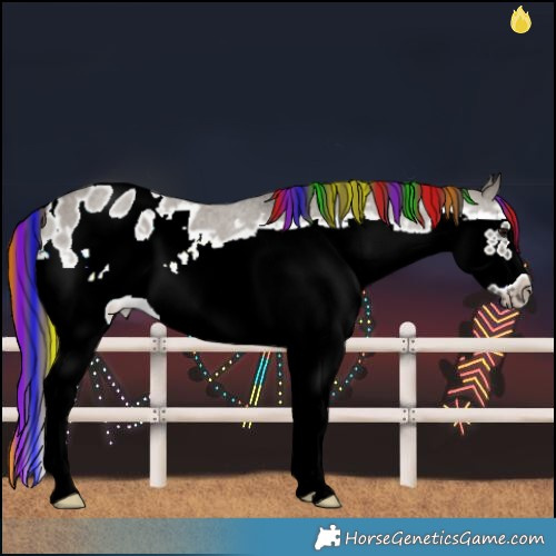 Horse Color:Painted Grullo Roan Splash Frame Blanket 