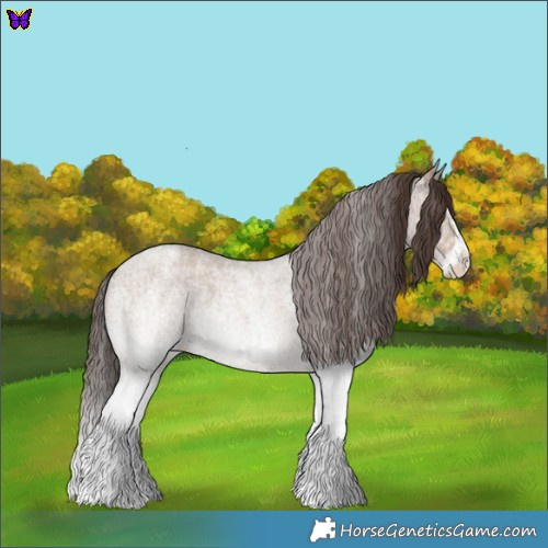 Horse Color:White Spotted Classic Champagne Roan Rabicano and White Spotted Classic Champagne Roan Splash Rabicano