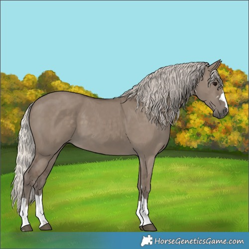 Horse Color:Silver Grullo 