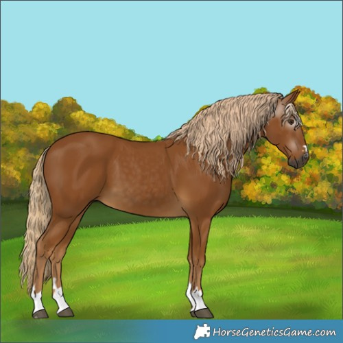 Horse Color:Gray Palomino